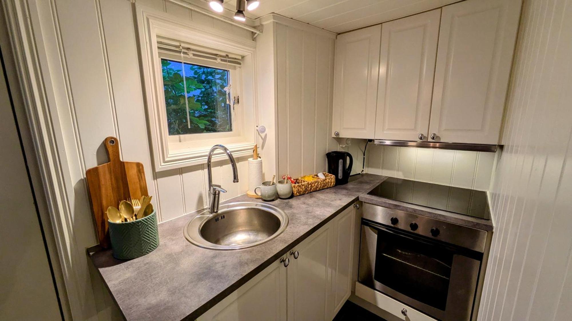 Exclusive And Cosy! Sea And Mountian View - Superfast Wifi, Washer And More Included Sortland Buitenkant foto
